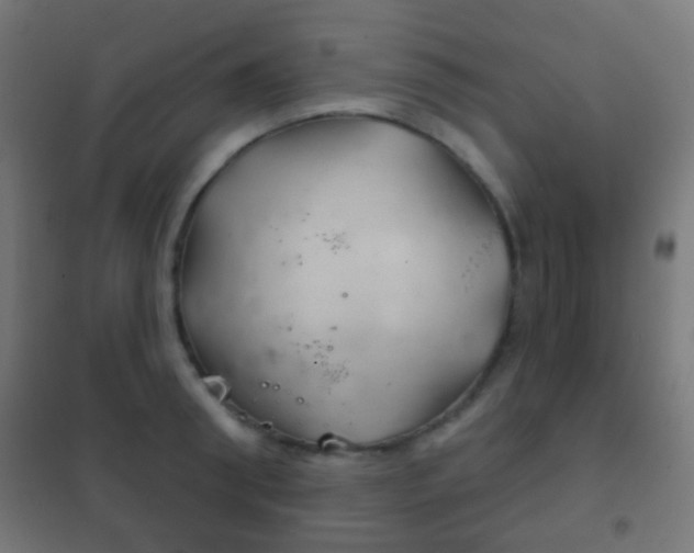 X0000102240898200807250835