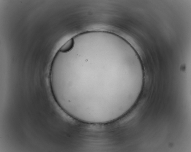 X0000102240901200807250835