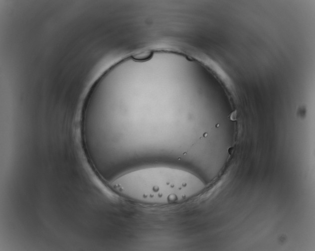 X0000102240902200807250835