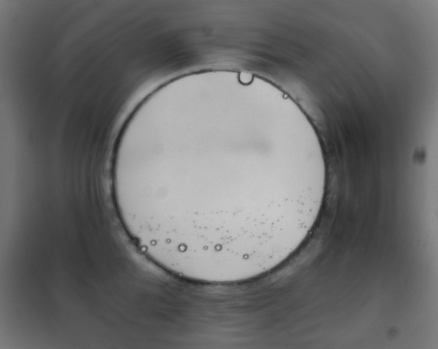 X0000102240904200807250835