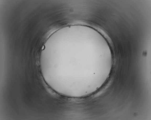 X0000102240905200807250834