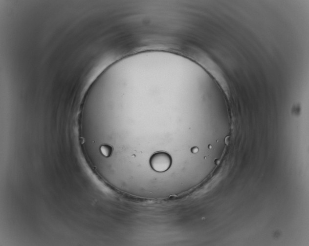 X0000102240906200807250834
