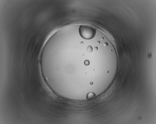X0000102240907200807250834