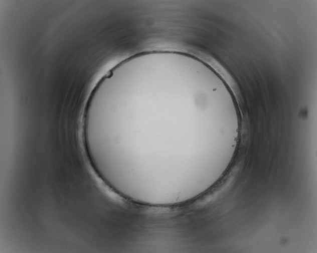X0000102240909200807250834