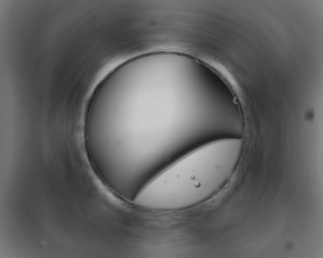 X0000102240910200807250834