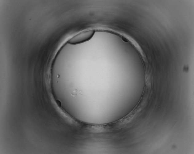 X0000102240911200807250834