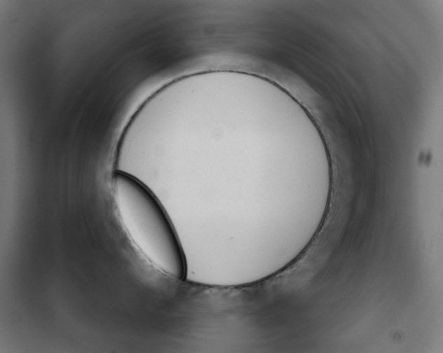 X0000102240912200807250834