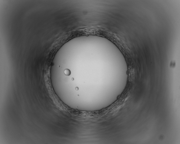 X0000102240913200807250834