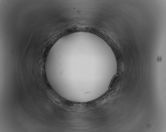 X0000102240914200807250834