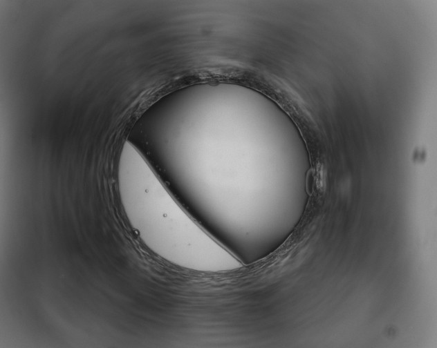 X0000102240915200807250834