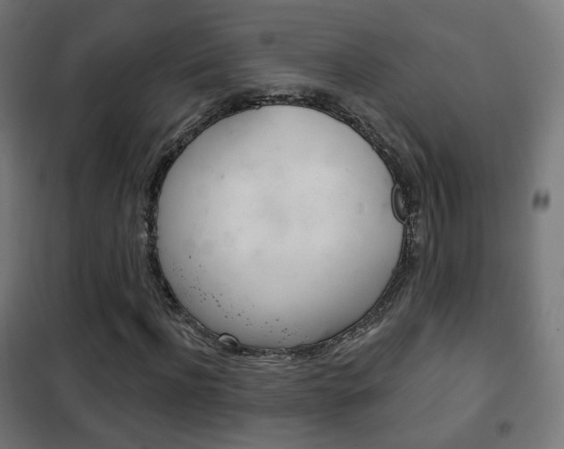 X0000102240916200807250834