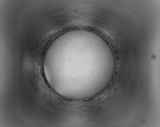 X0000102240917200807250834