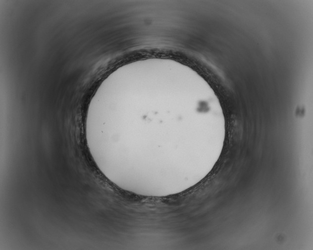 X0000102240918200807250834