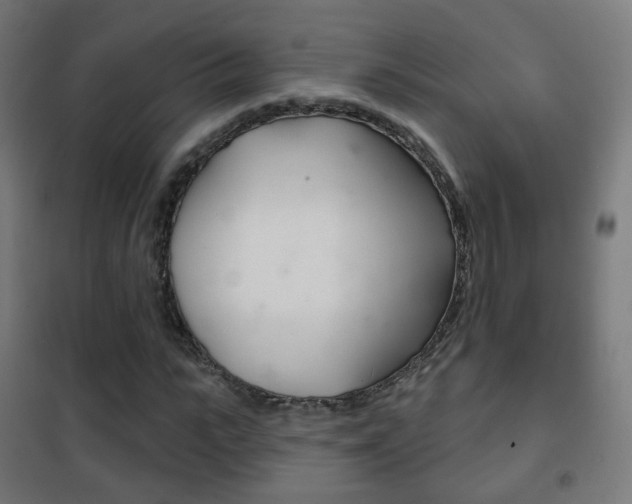 X0000102240919200807250834