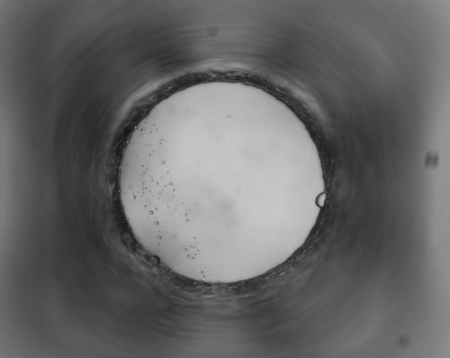 X0000102240920200807250834