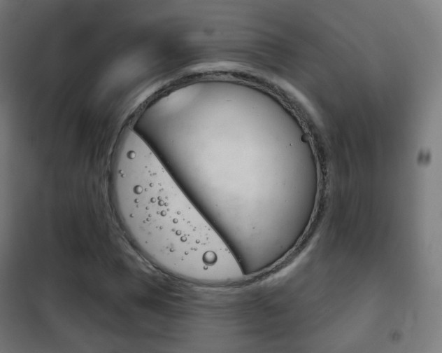 X0000102240921200807250834