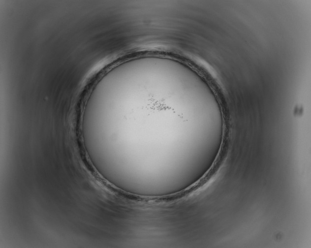 X0000102240922200807250834