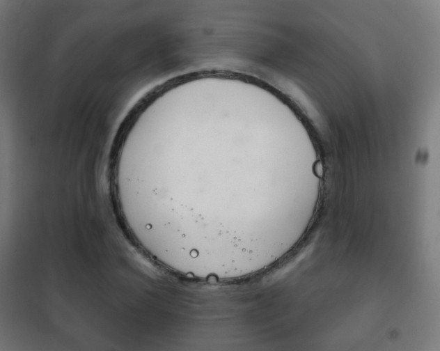 X0000102240924200807250834