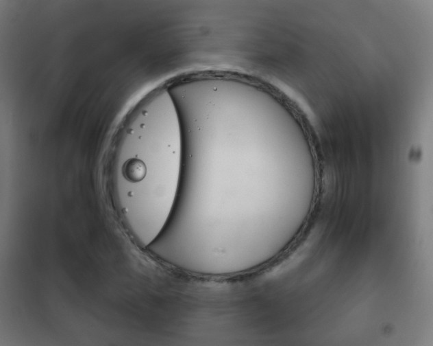 X0000102240925200807250834
