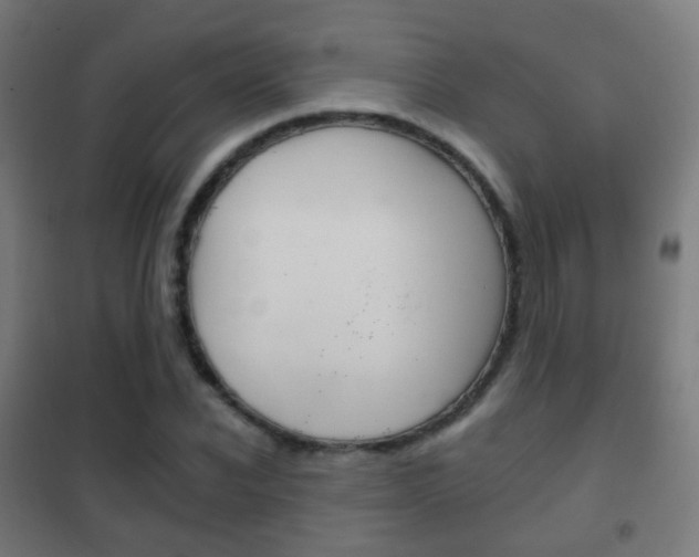 X0000102240926200807250834
