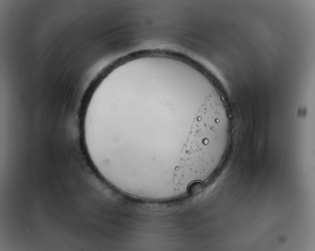 X0000102240927200807250834