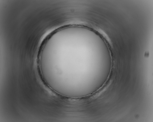 X0000102240928200807250834