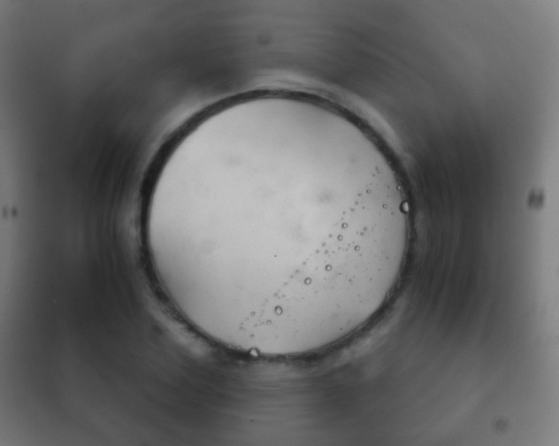 X0000102240931200807250834