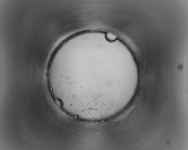X0000102240932200807250834