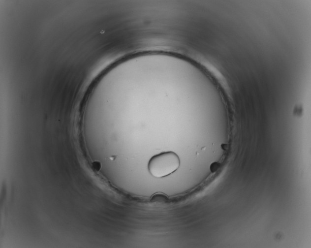 X0000102240933200807250834