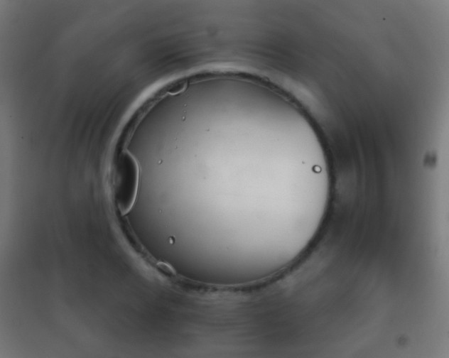 X0000102240934200807250834