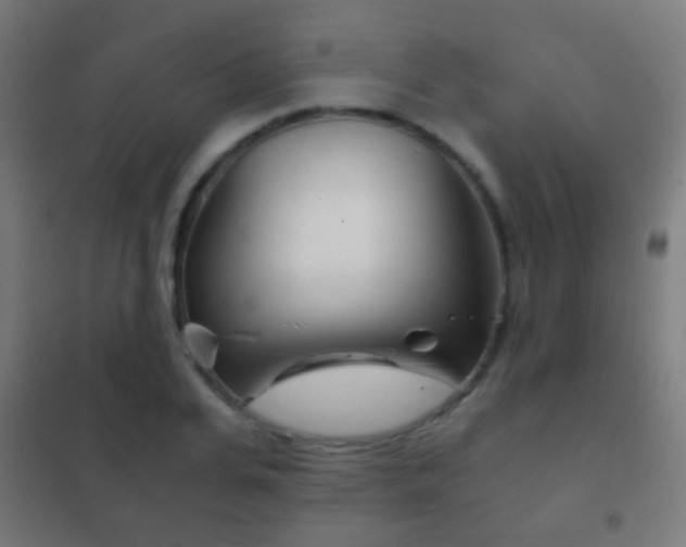 X0000102240935200807250834