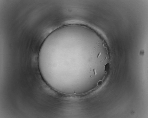 X0000102240937200807250834