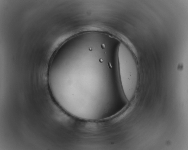 X0000102240938200807250834