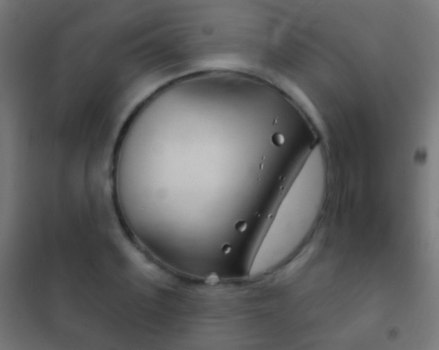 X0000102240939200807250834