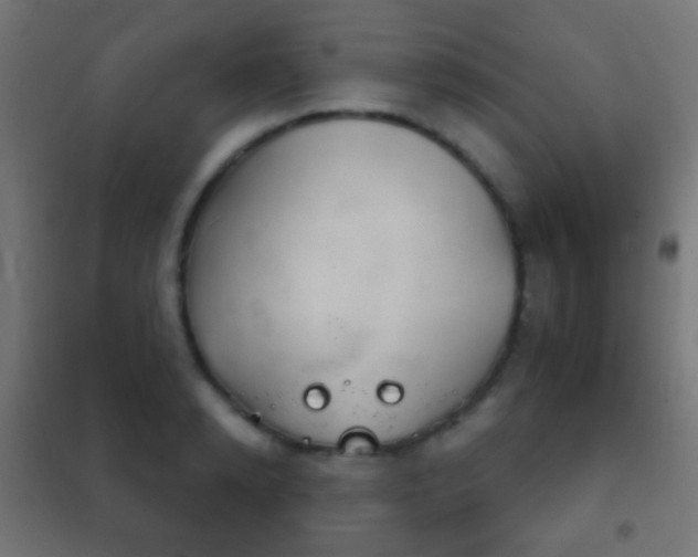 X0000102240942200807250834