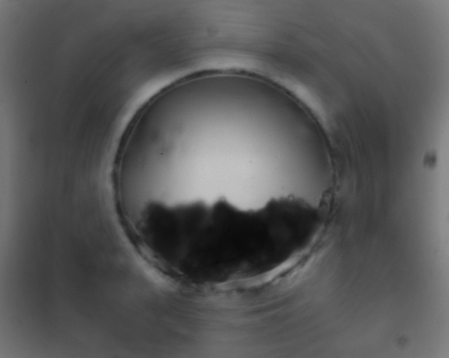 X0000102240943200807250834