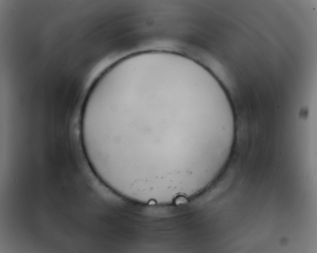 X0000102240944200807250834