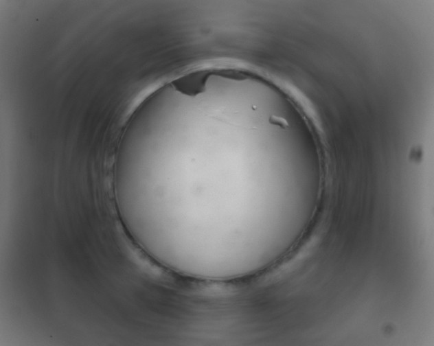 X0000102240945200807250834