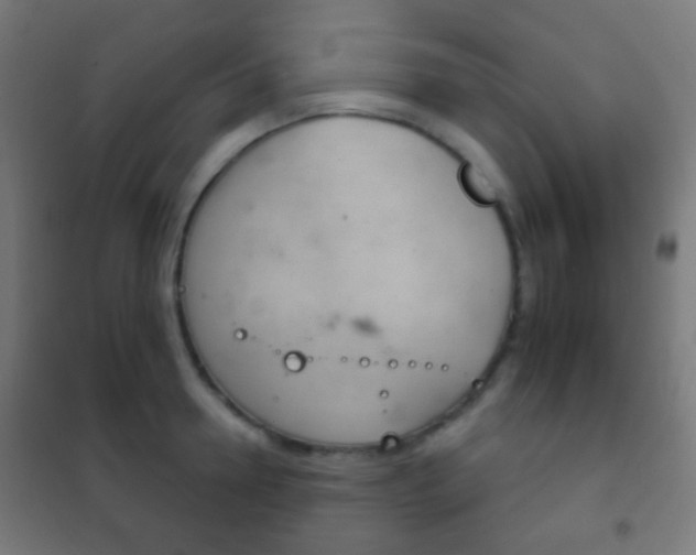 X0000102240946200807250834
