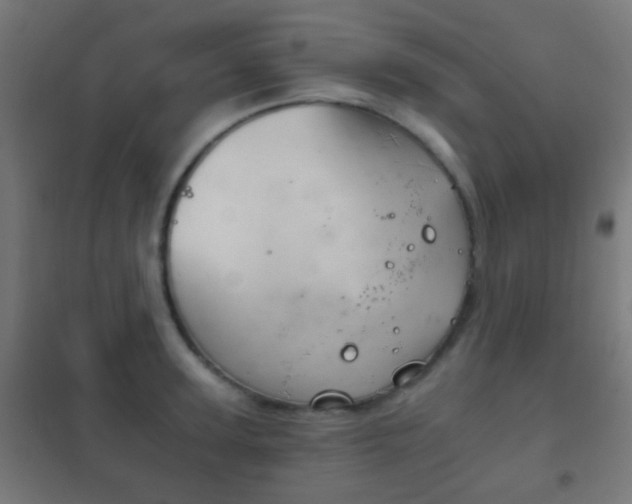 X0000102240947200807250834