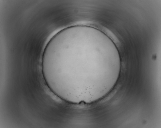X0000102240948200807250834