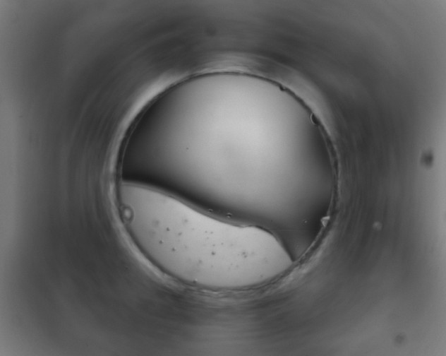 X0000102240949200807250834