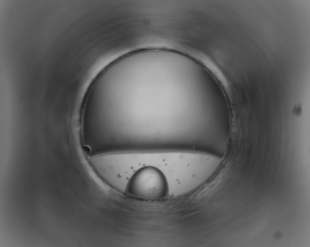 X0000102240951200807250834