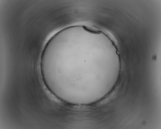 X0000102240952200807250834