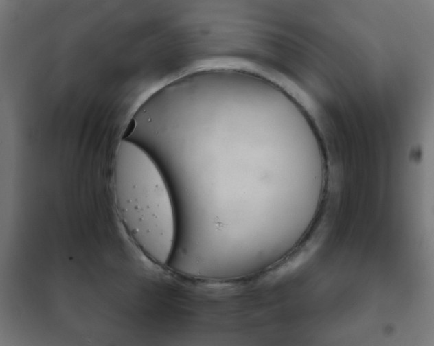 X0000102240953200807250834