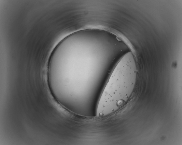 X0000102240955200807250834
