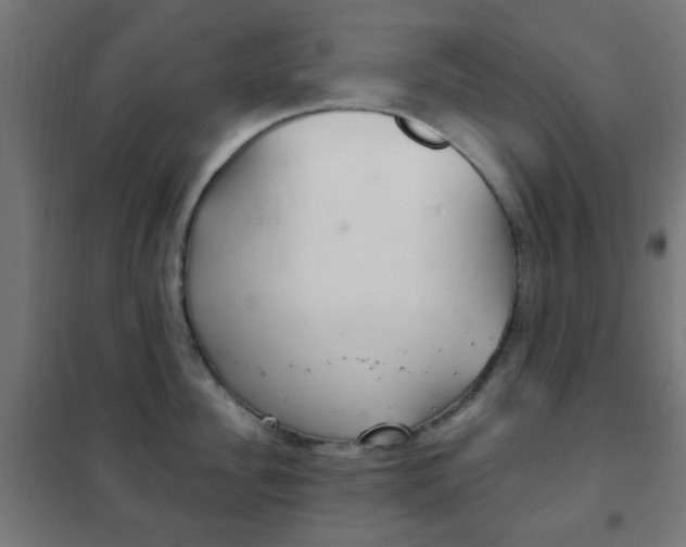 X0000102240956200807250834