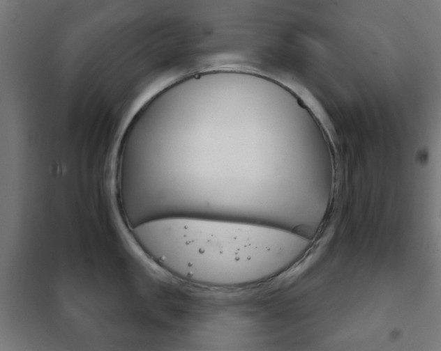 X0000102240957200807250834