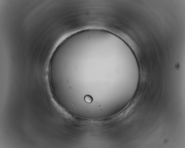 X0000102240958200807250834