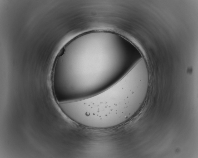 X0000102240959200807250834